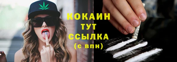 прущие крисы Карпинск