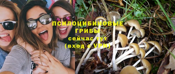 прущие крисы Карпинск