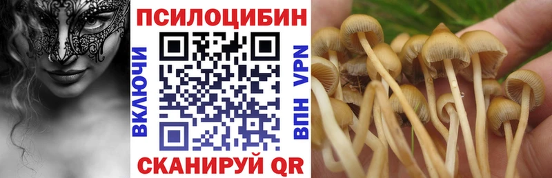 Купить закладки  Бирюсинск  Псилоцибиновые грибы Magic Shrooms 